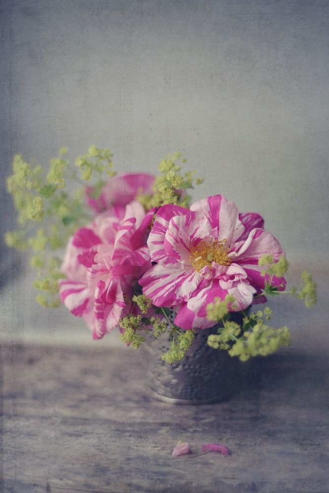 Summer Blooms art print by Sarah Gardner for $57.95 CAD