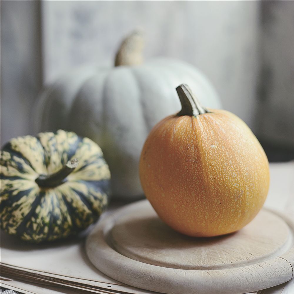 Time For Fall art print by Sarah Gardner for $57.95 CAD