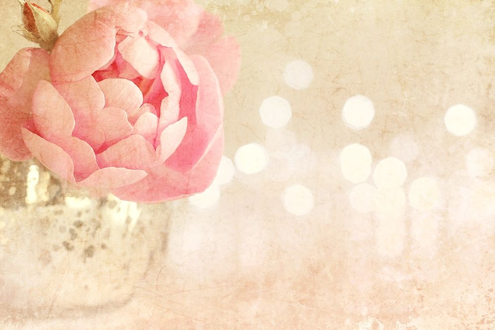 Spotlight Blooms art print by Sarah Gardner for $57.95 CAD