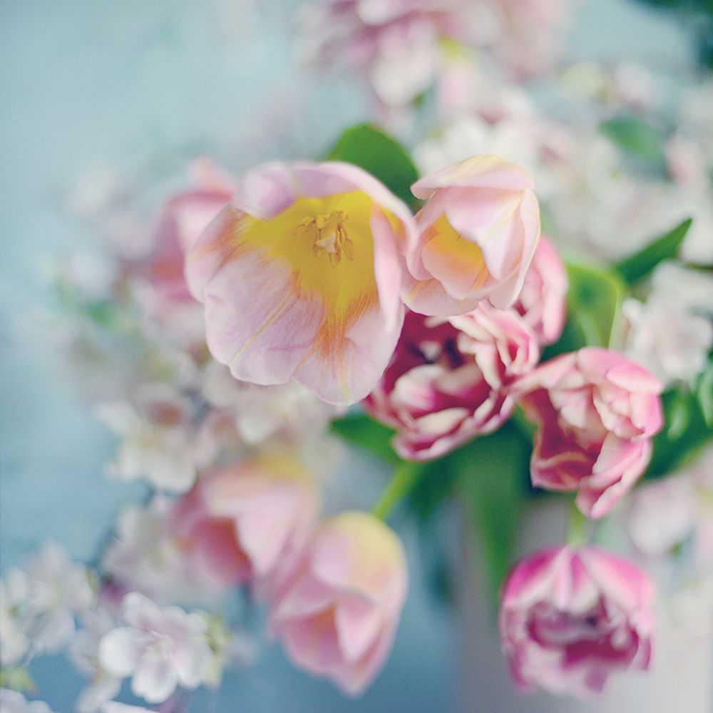 Pulled from the Garden I art print by Sarah Gardner for $57.95 CAD