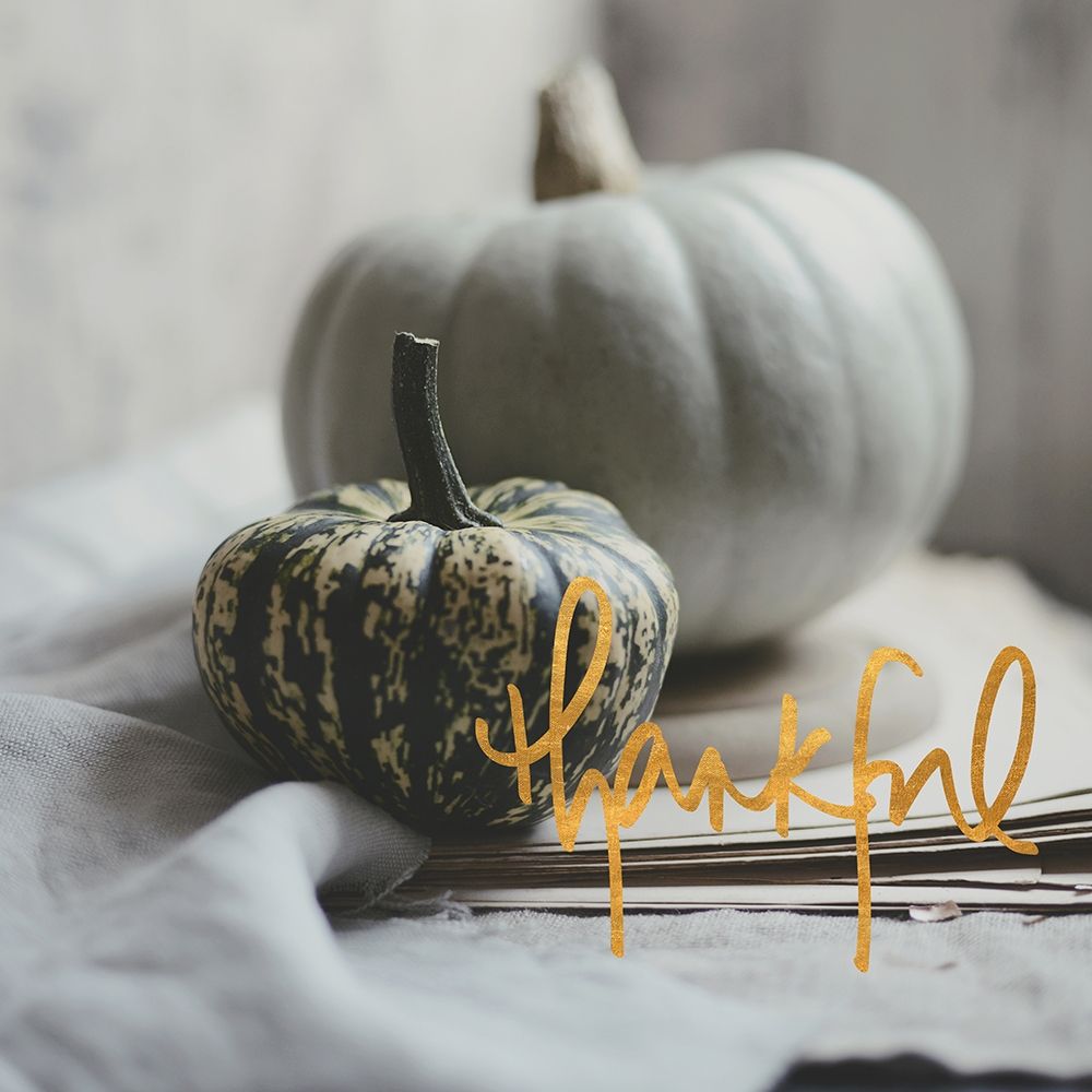 Thankful art print by Sarah Gardner for $57.95 CAD