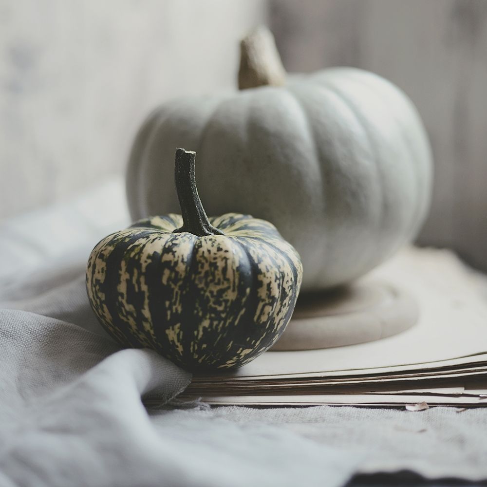 Fall Bunches art print by Sarah Gardner for $57.95 CAD