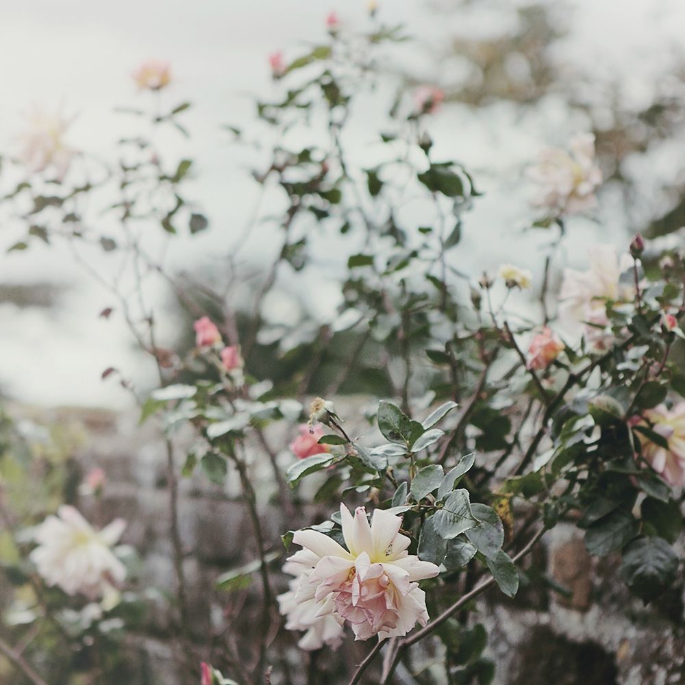 Spring Views art print by Sarah Gardner for $57.95 CAD