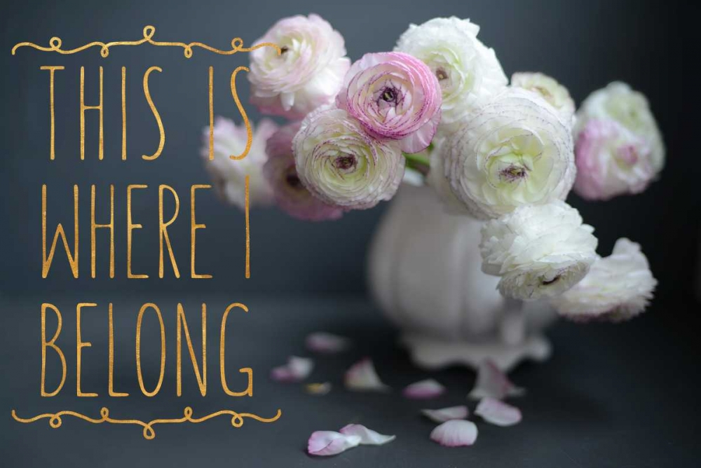 I Belong art print by Sarah Gardner for $57.95 CAD