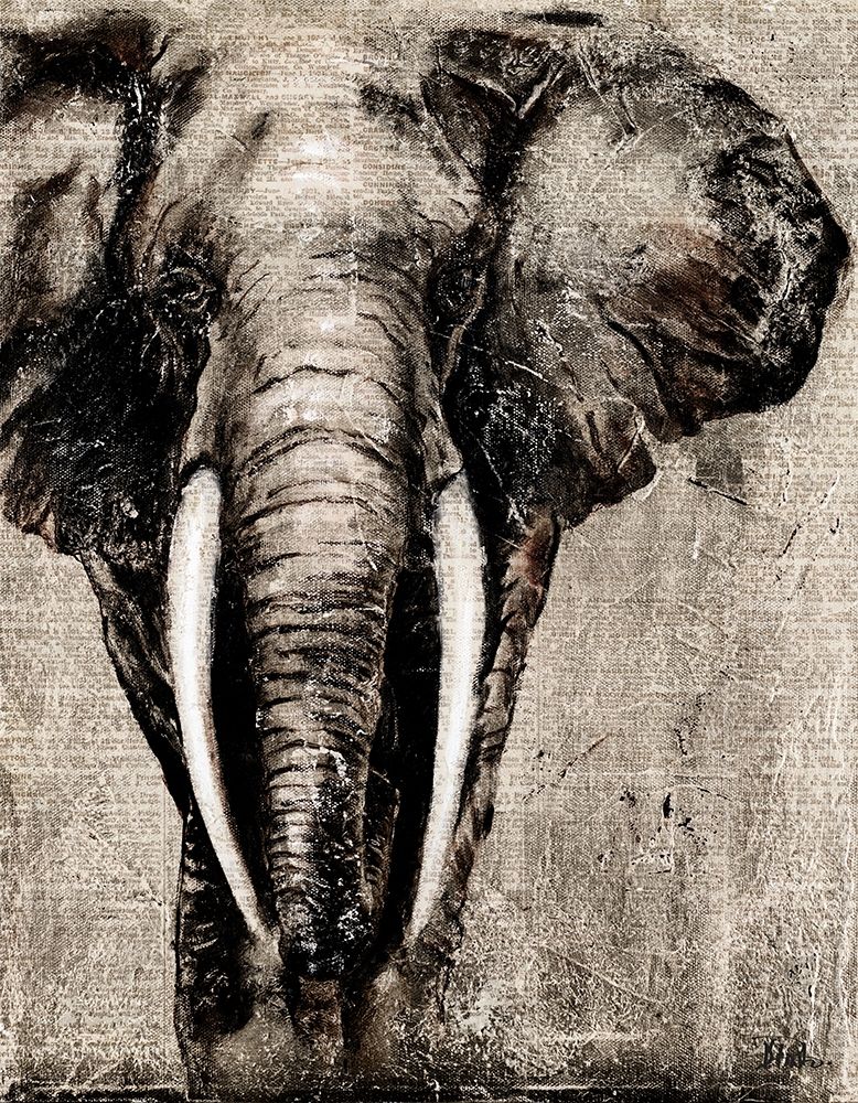 Elephant on Newspaper art print by Patricia Pinto for $57.95 CAD