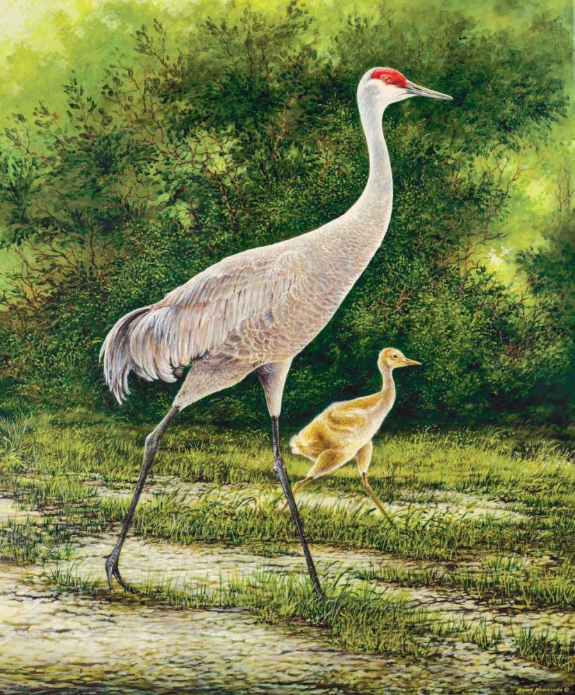 Walking From A Distance art print by Bruce Nawrocke for $57.95 CAD