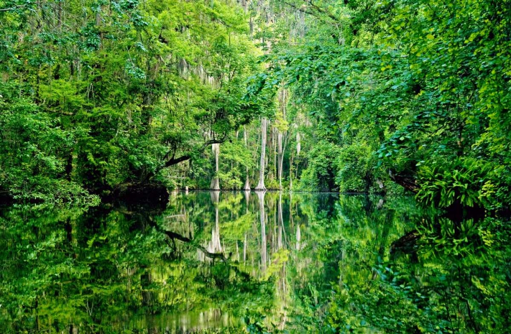 Serenity art print by Bruce Nawrocke for $57.95 CAD