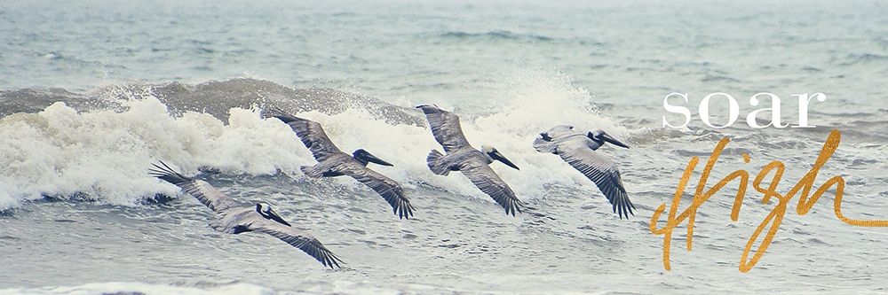 Soar High art print by Bruce Nawrocke for $57.95 CAD