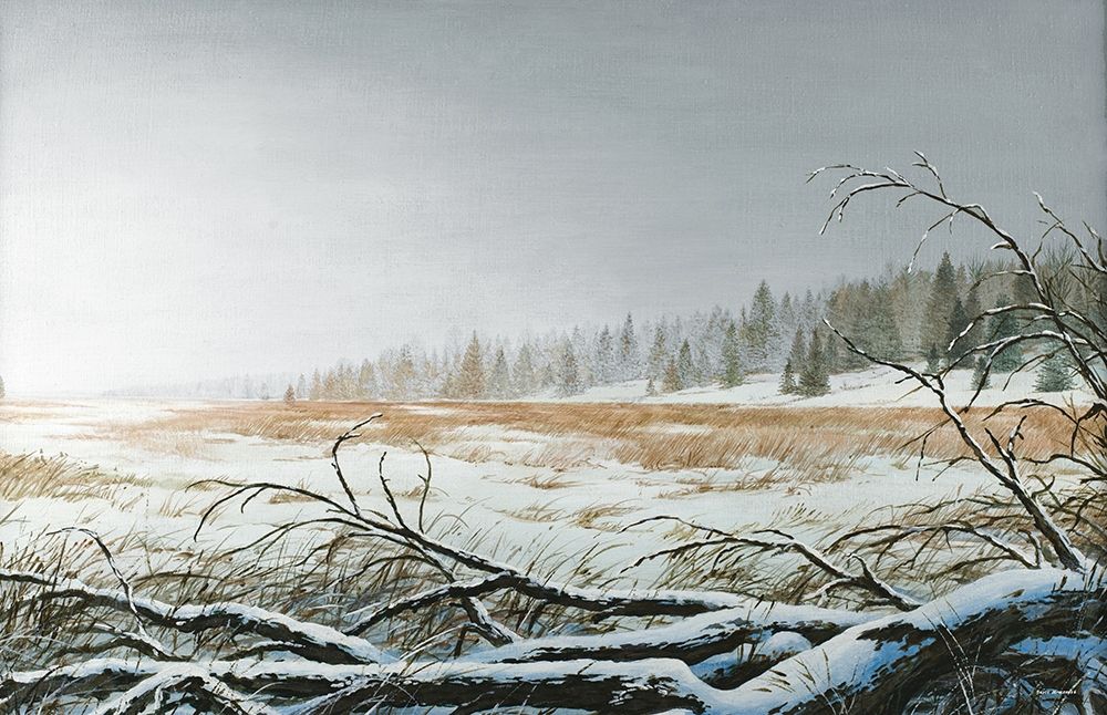 Snowy Morning art print by Bruce Nawrocke for $57.95 CAD