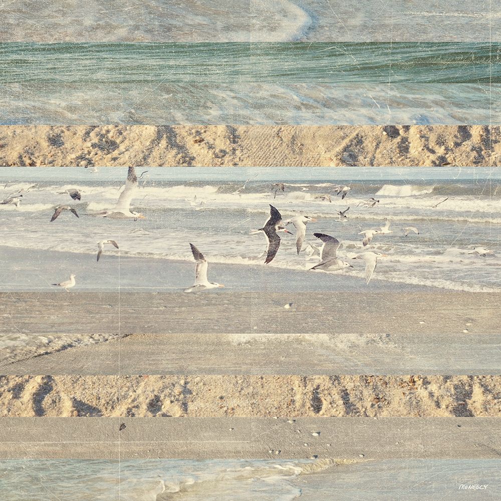 Flying Beach Birds II art print by Dan Meneely for $57.95 CAD