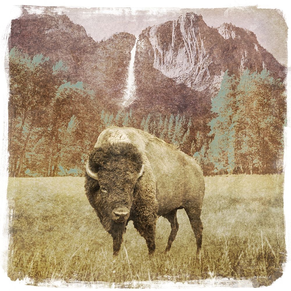 Bison Falls art print by Dan Meneely for $57.95 CAD