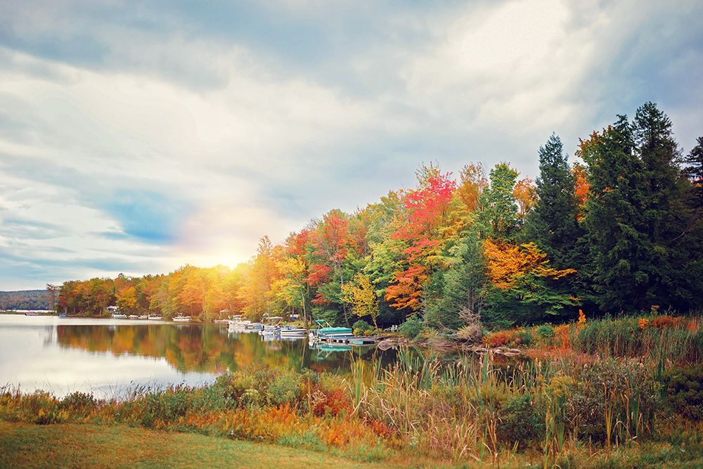 Great Autumn Day art print by Kelly Poynter for $57.95 CAD
