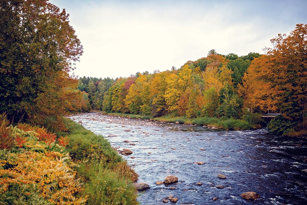 Scenic River art print by Kelly Poynter for $57.95 CAD