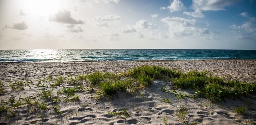 Daylight Views art print by Bill Carson Photography for $57.95 CAD