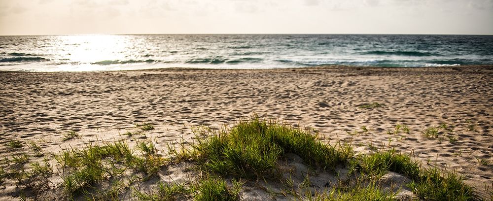 Warm Sunny Days art print by Bill Carson Photography for $57.95 CAD
