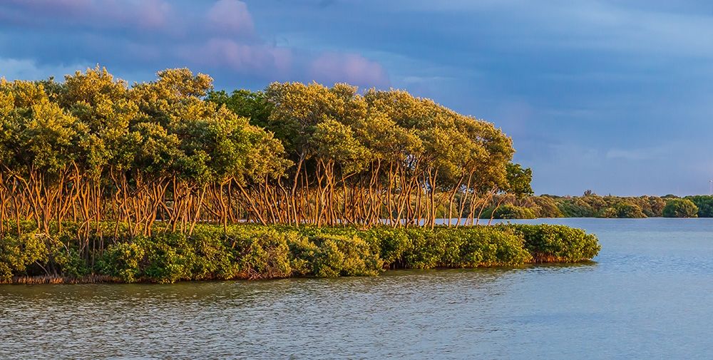 Sundown by the Lake art print by Bill Carson Photography for $57.95 CAD