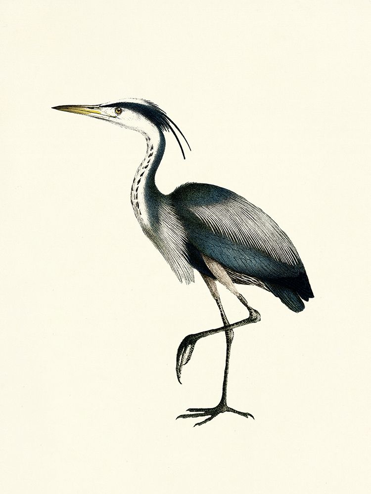 Bird I on Cream art print by Piddix for $57.95 CAD