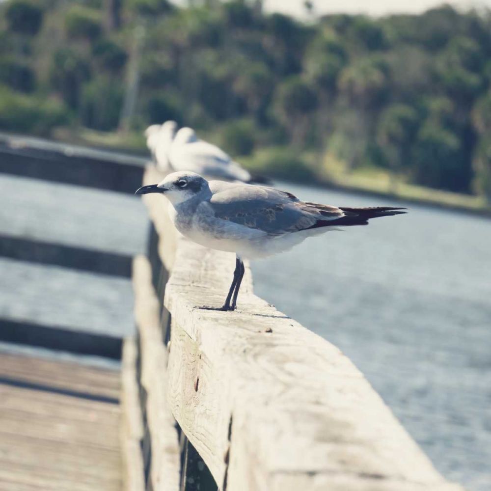 Look Out Dock I art print by Gail Peck for $57.95 CAD