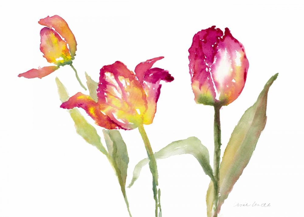Pink Hues Tulips art print by Lanie Loreth for $57.95 CAD
