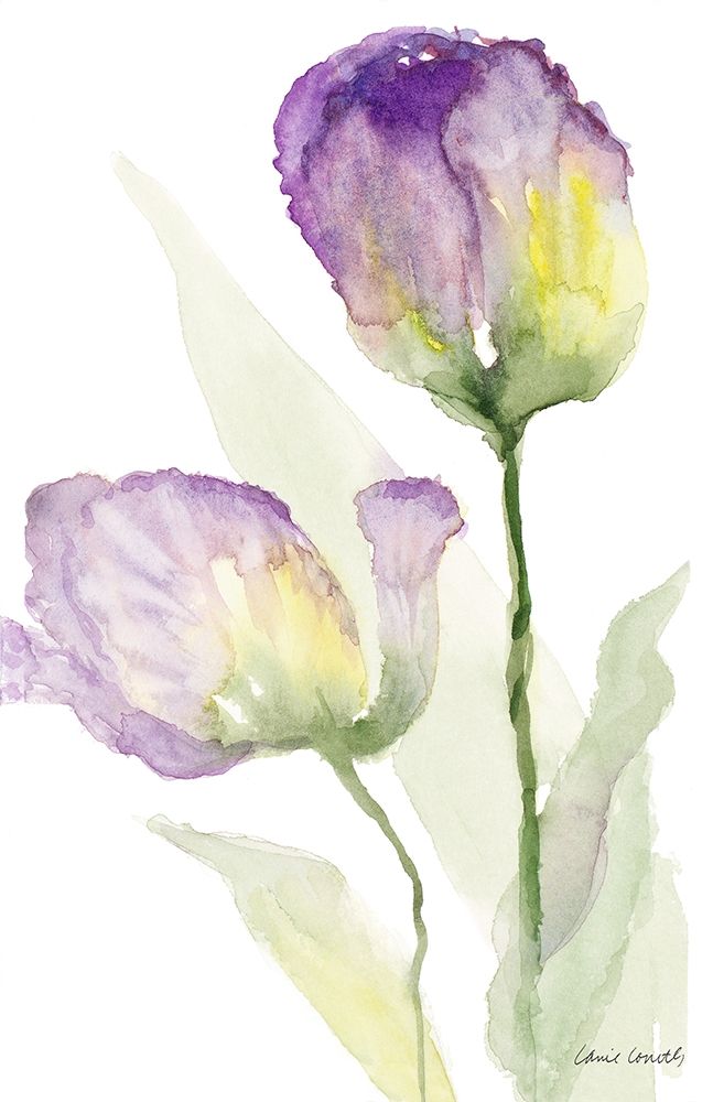Teal and Lavender Tulips II art print by Lanie Loreth for $57.95 CAD
