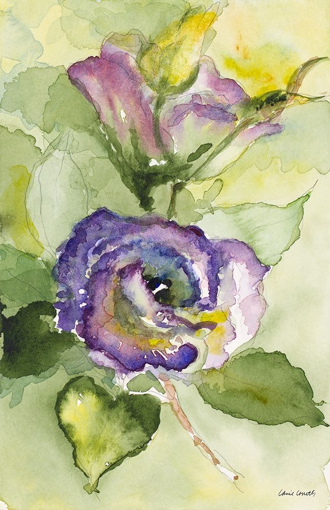 Watercolor Lavender Floral II art print by Lanie Loreth for $57.95 CAD