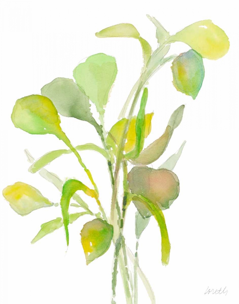 Seagrasses and Eelgrasses I art print by Lanie Loreth for $57.95 CAD