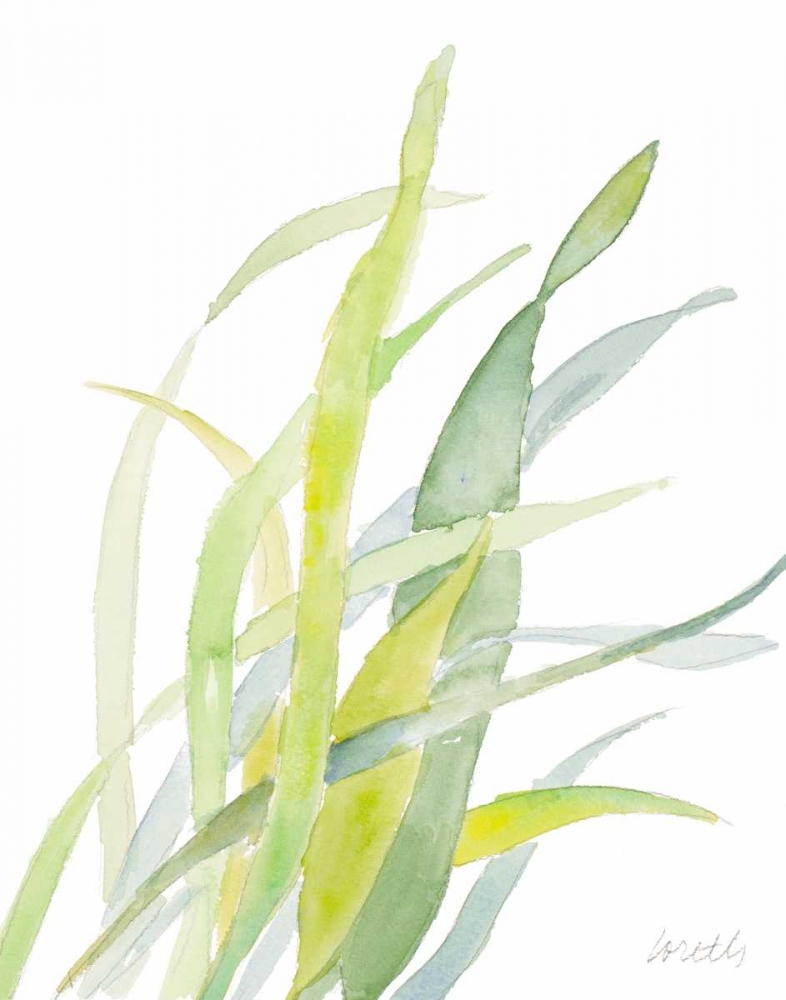 Seagrasses and Eelgrasses II art print by Lanie Loreth for $57.95 CAD