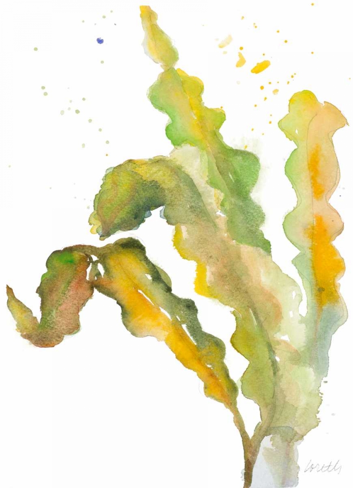 Seagrasses and Eelgrasses IV art print by Lanie Loreth for $57.95 CAD