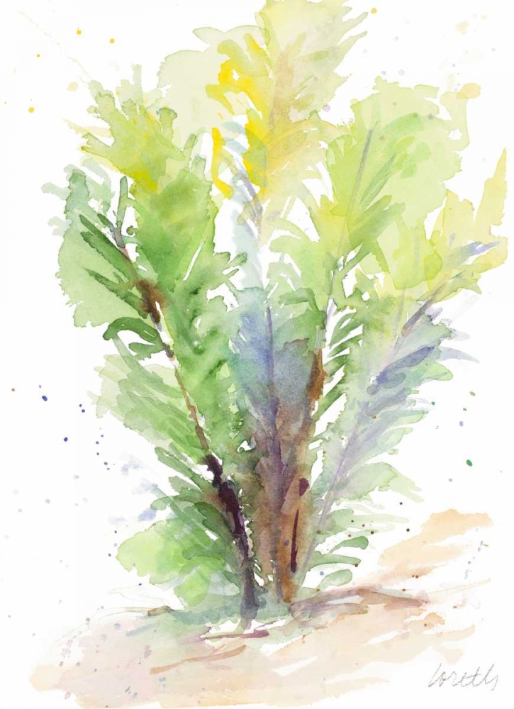 Seagrasses and Eelgrasses V art print by Lanie Loreth for $57.95 CAD