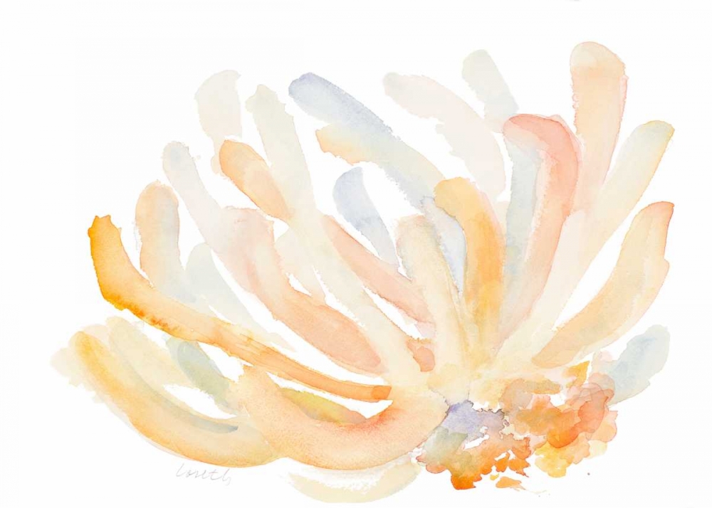 Watercolor Coral art print by Lanie Loreth for $57.95 CAD