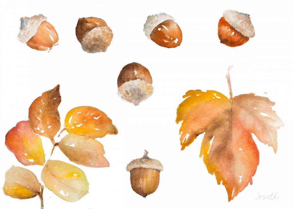 Tawny Autumn Leaves and Acorns art print by Lanie Loreth for $57.95 CAD
