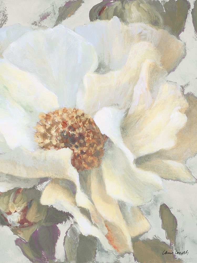 White Peony and Buds art print by Lanie Loreth for $57.95 CAD