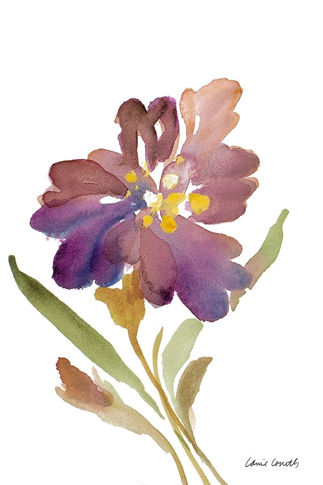 Iris art print by Lanie Loreth for $57.95 CAD