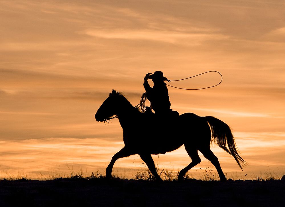 Run Through The Sunset art print by Carol Walker for $57.95 CAD