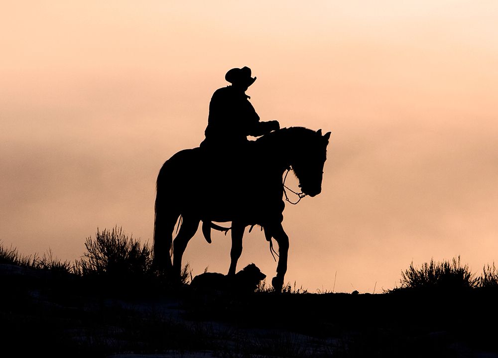 Ride On art print by Carol Walker for $57.95 CAD