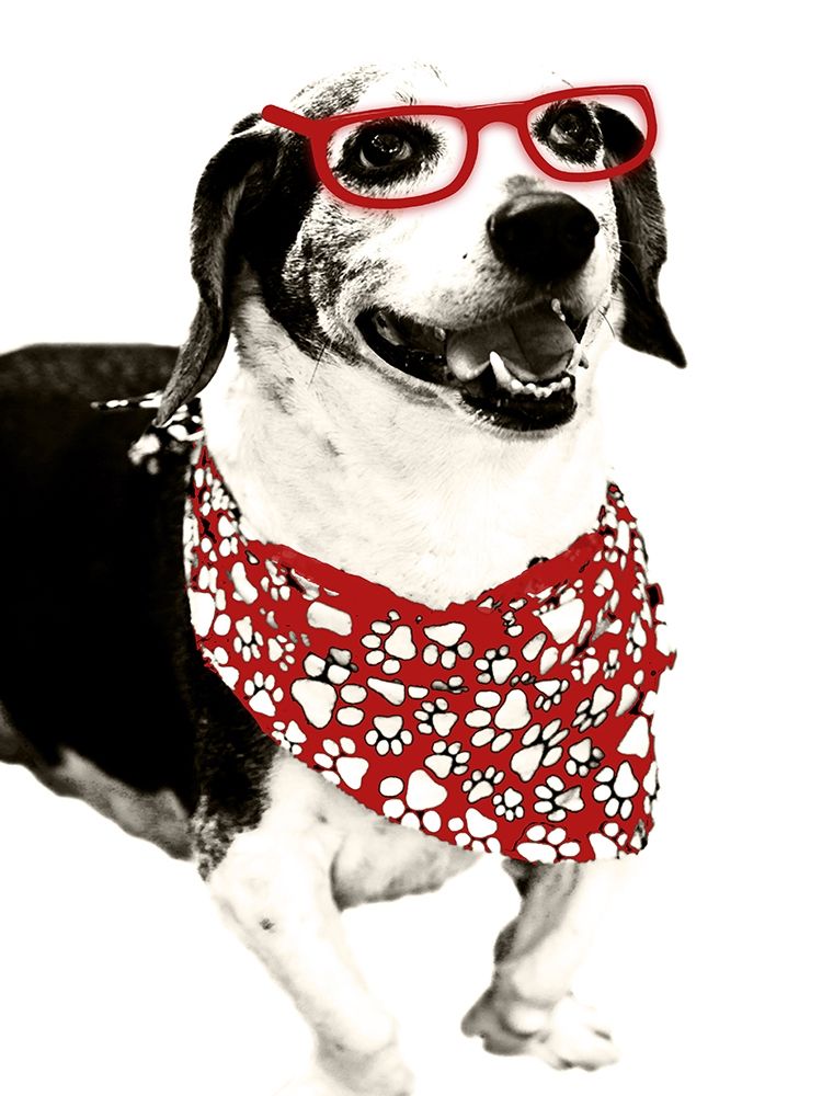 Cool Fella art print by Emily Navas for $57.95 CAD