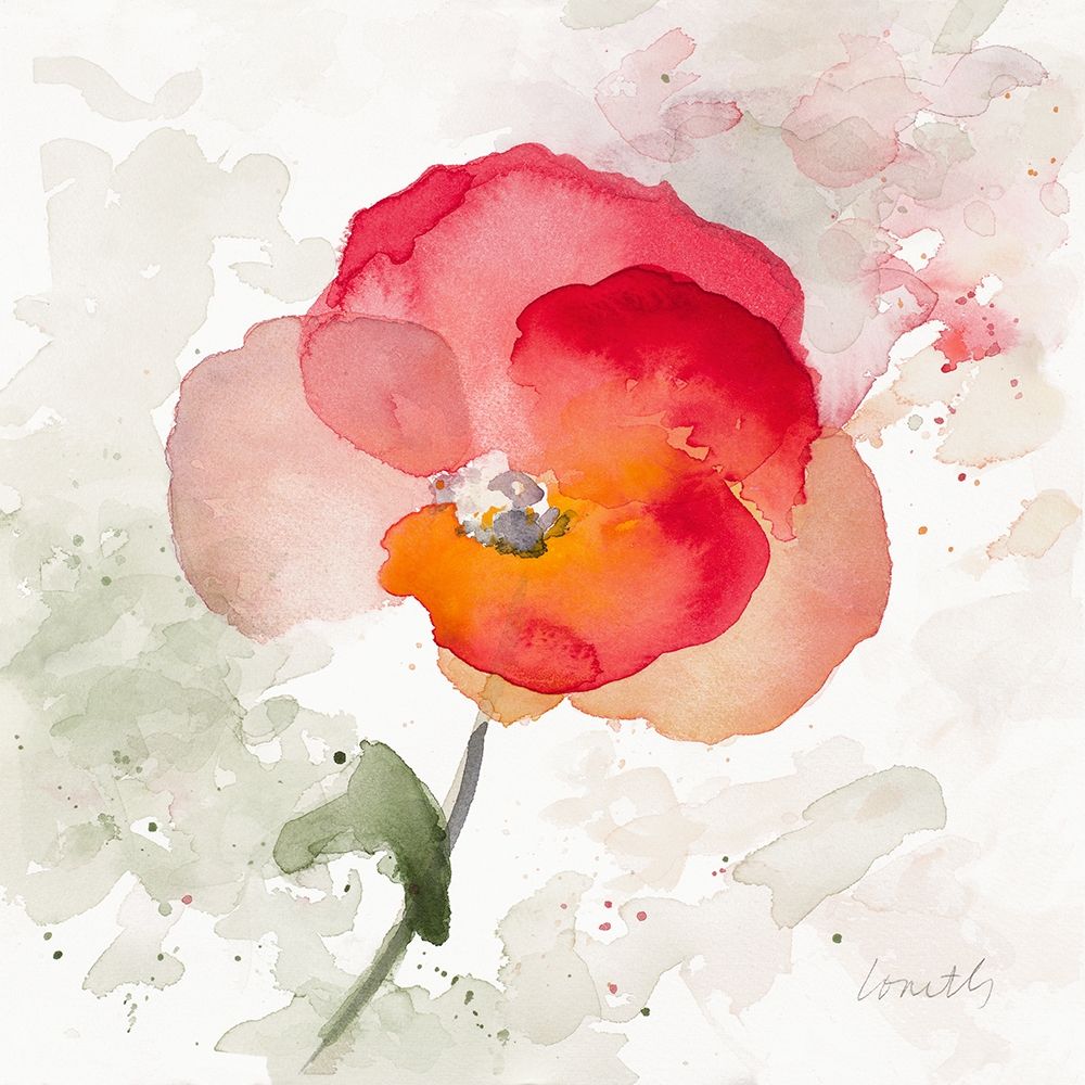 Translucent Poppy I art print by Lanie Loreth for $57.95 CAD