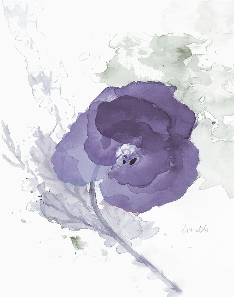 Translucent Mauve Poppy II art print by Lanie Loreth for $57.95 CAD