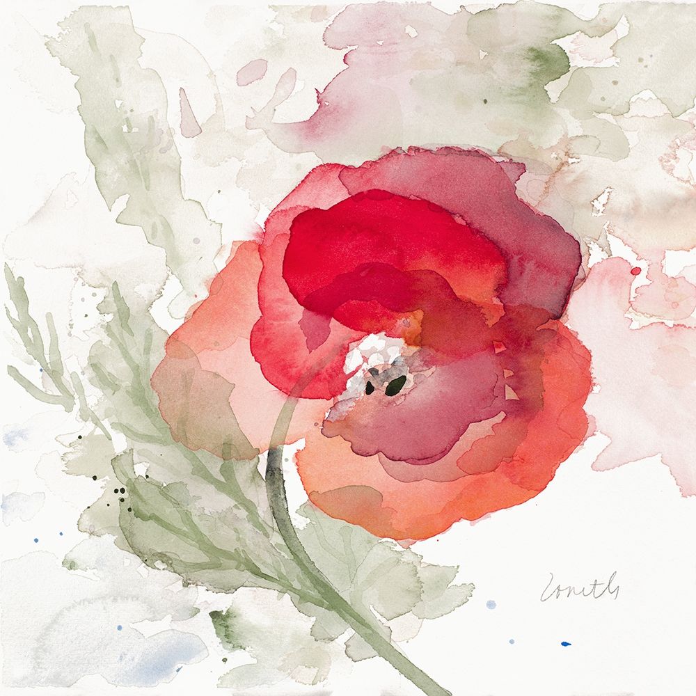 Translucent Poppy II art print by Lanie Loreth for $57.95 CAD