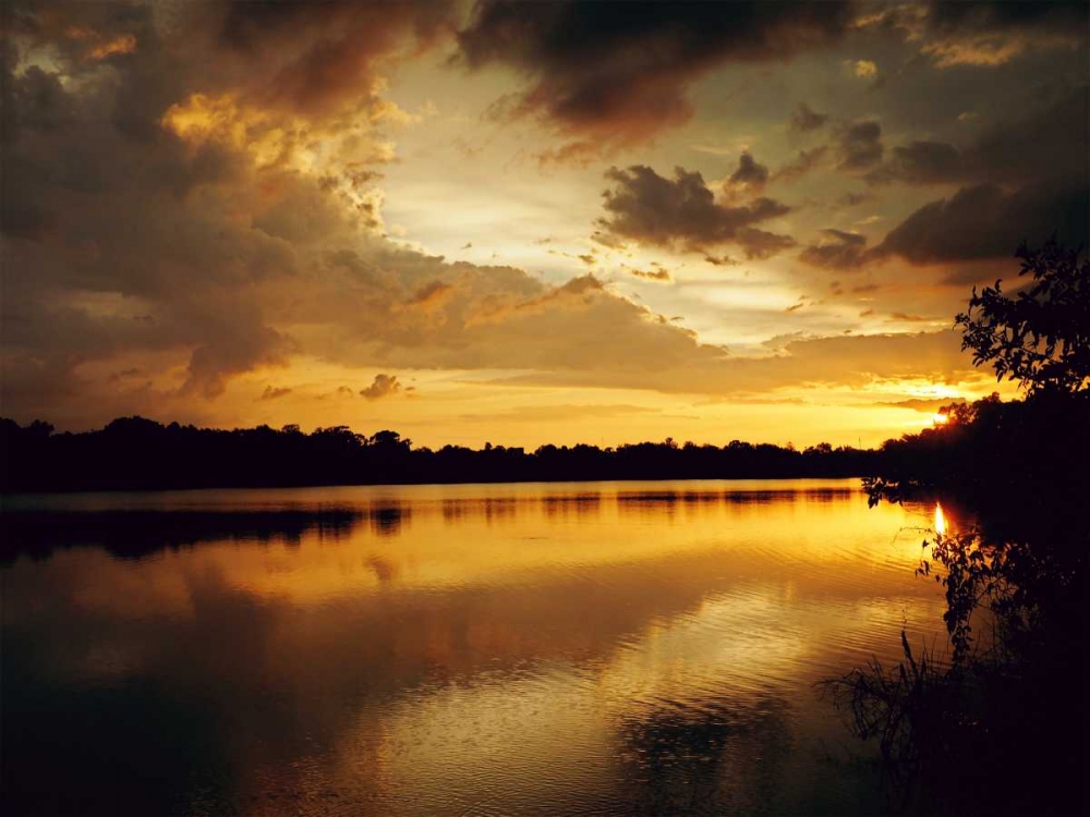 Yellow Sunset art print by Gail Peck for $57.95 CAD