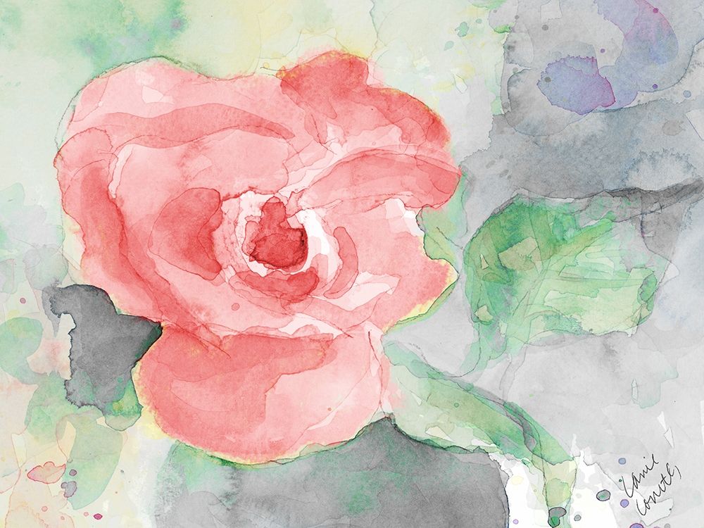 Pink Flower art print by Lanie Loreth for $57.95 CAD