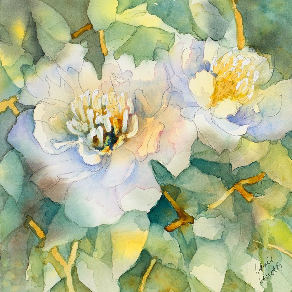 White Peony Garden art print by Lanie Loreth for $57.95 CAD