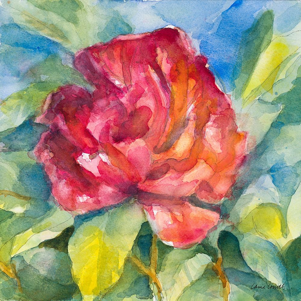 Crimson Peony art print by Lanie Loreth for $57.95 CAD