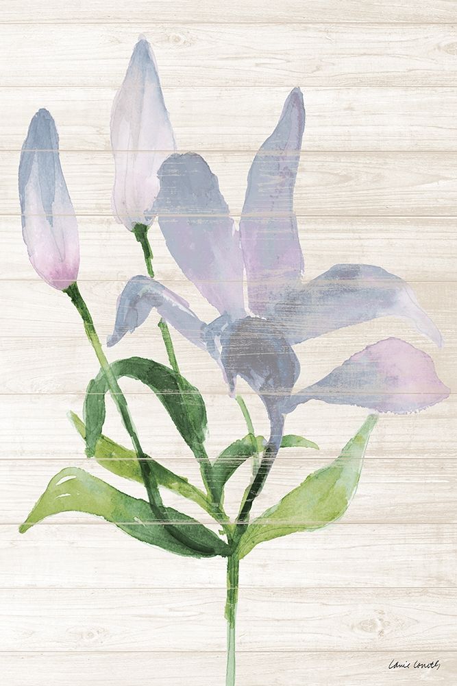 Lavender Paradise Lily art print by Lanie Loreth for $57.95 CAD