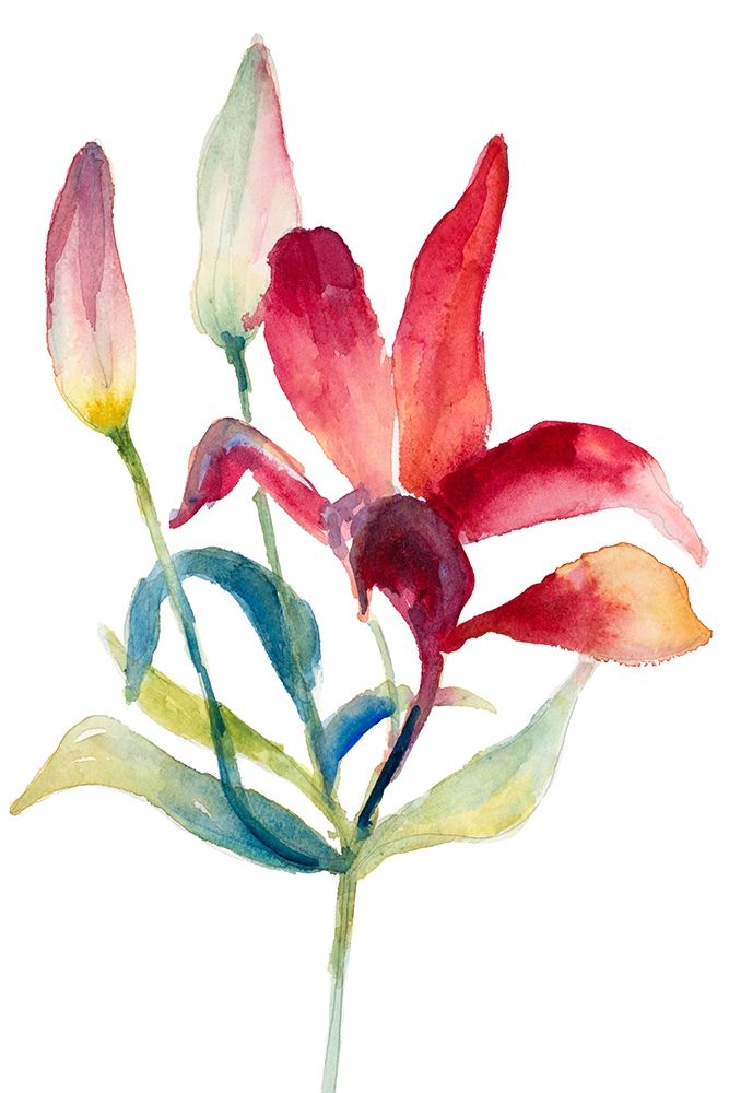 Crimson Paradise Lily art print by Lanie Loreth for $57.95 CAD