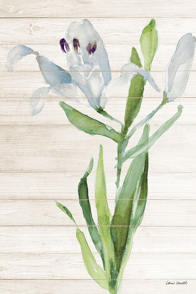 Soft Blue Paradise Lily art print by Lanie Loreth for $57.95 CAD