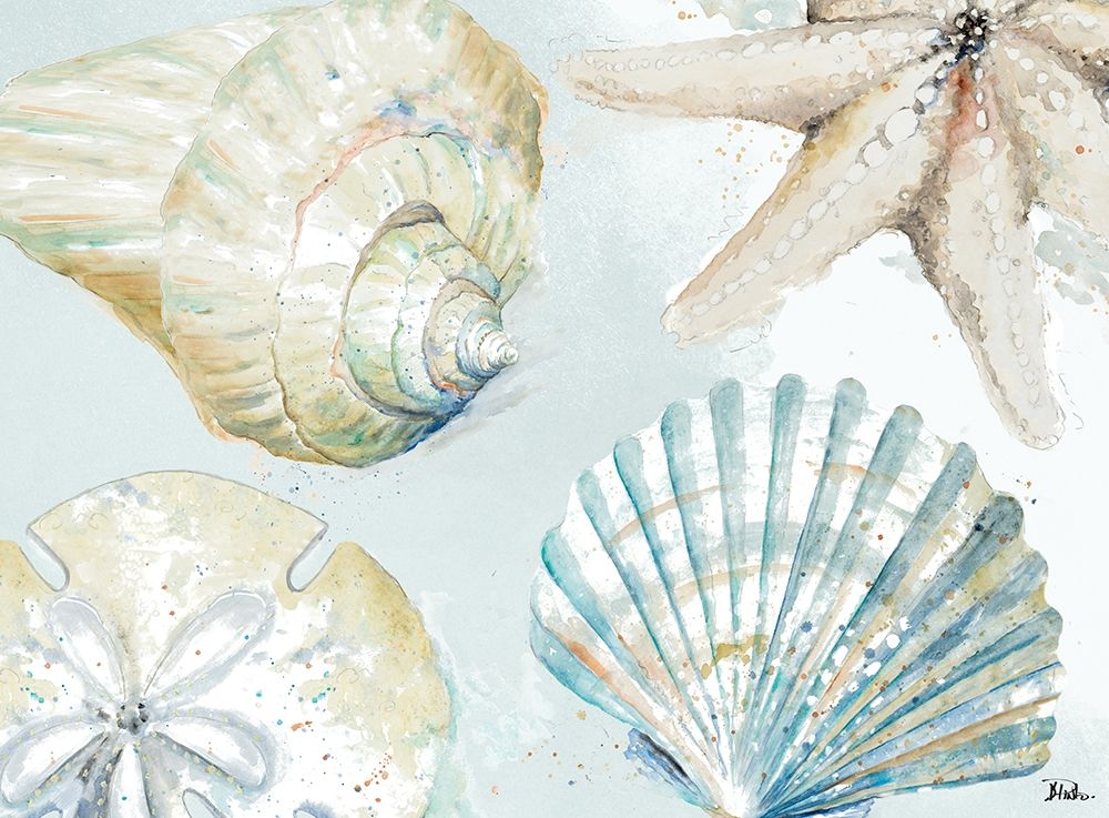 Shell Collectors art print by Patricia Pinto for $57.95 CAD