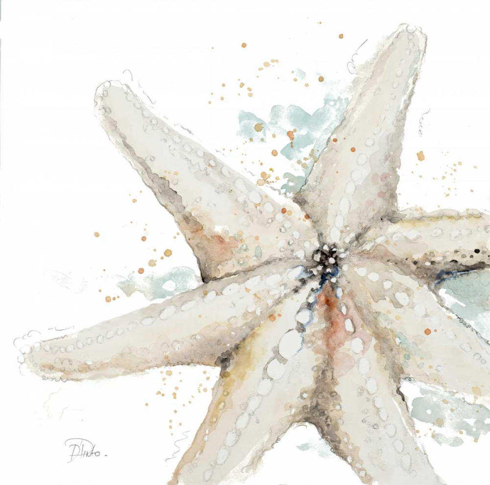 Water Starfish art print by Patricia Pinto for $57.95 CAD