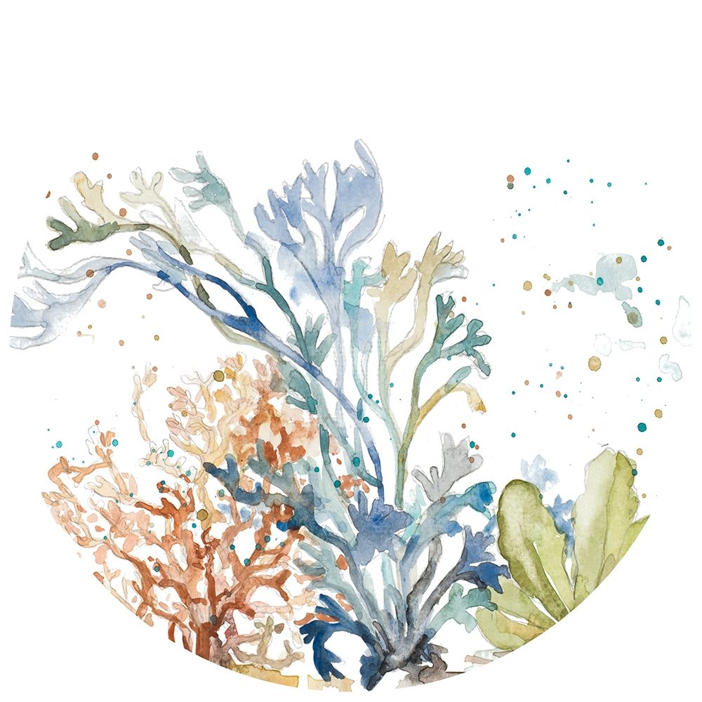Under the Sea Plants Circle art print by Patricia Pinto for $57.95 CAD