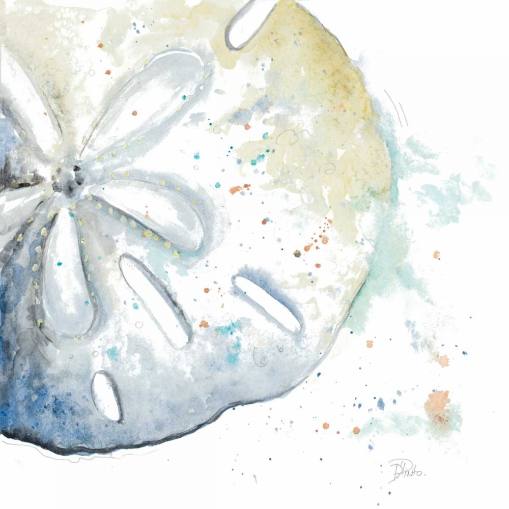 Water Sand Dollar art print by Patricia Pinto for $57.95 CAD